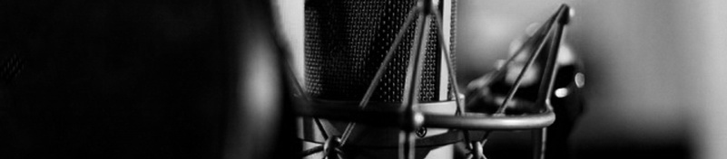 studio microphone in shockmount
